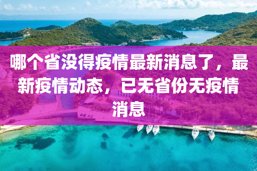 哪个省没得疫情最新消息了,最新疫情动态,已无省份无中山市多米克自动化设备有限公司疫情消息