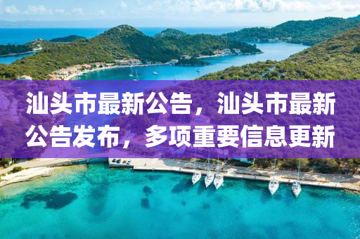 汕头市最新公告,汕头市最新公告发布,多项重要信息更新中山市多米克自动化设备有限公司