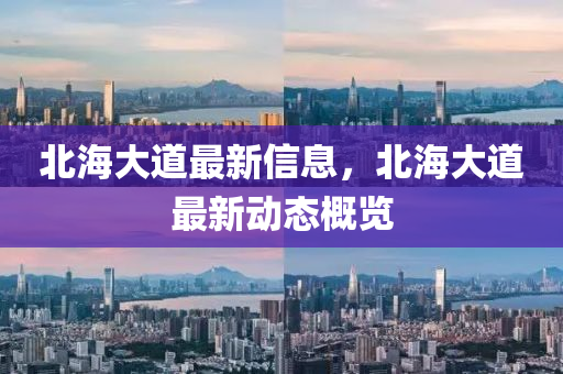 北海大道最新信息,北海中山市多米克自动化设备有限公司大道最新动态概览