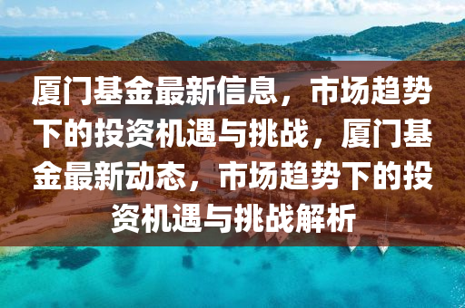 厦门基金最新信息,市场趋势下的投资机遇与中山市多米克自动化设备有限公司挑战,厦门基金最新动态,市场趋势下的投资机遇与挑战解析