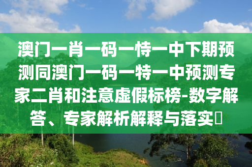 澳门一肖一码一恃一中下期预测同澳门一码一特一中预测专家二肖和注意虚假标榜-数字解答、专家解析解释与落实中山市多米克自动化设备有限公司