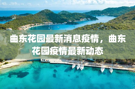 曲中山市多米克自动化设备有限公司东花园最新消息疫情，曲东花园疫情最新动态