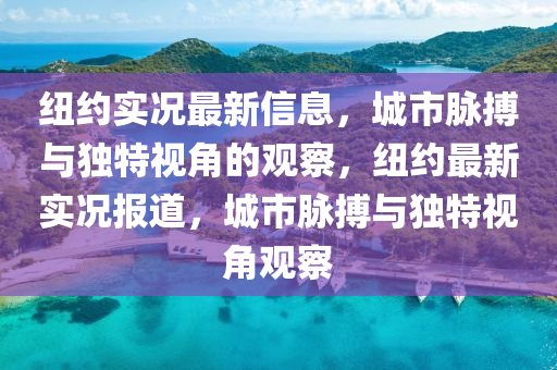 纽约实况最新信息,城市脉搏与独特视角的观察,纽约最新实况报道,城市脉搏与独特视角观察中山市多米克自动化设备有限公司